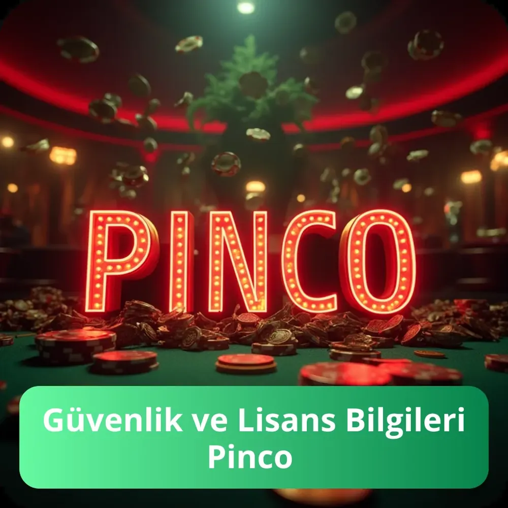 Güvenlik ve Lisans Bilgileri